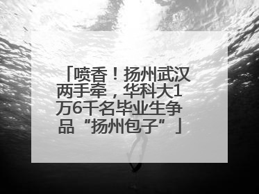 喷香！扬州武汉两手牵，华科大1万6千名毕业生争品“扬州包子”