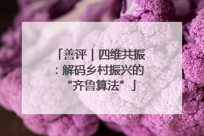 善评｜四维共振：解码乡村振兴的“齐鲁算法”