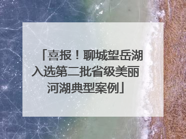 喜报！聊城望岳湖入选第二批省级美丽河湖典型案例