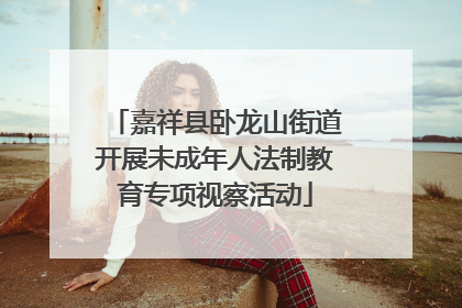 嘉祥县卧龙山街道开展未成年人法制教育专项视察活动