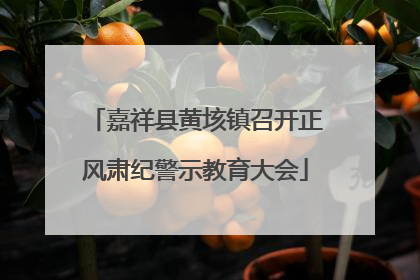 嘉祥县黄垓镇召开正风肃纪警示教育大会