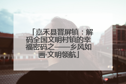 嘉禾县晋屏镇：解码全国文明村镇的幸福密码之——乡风如画·文明领航