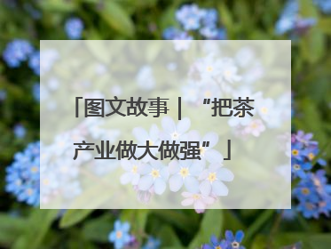 图文故事｜“把茶产业做大做强”