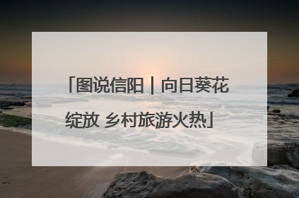 图说信阳｜向日葵花绽放 乡村旅游火热