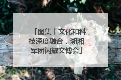 图集丨文化和科技深度融合，湖湘军团闪耀文博会