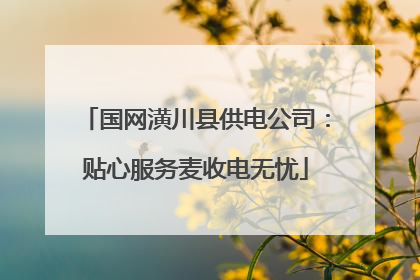 国网潢川县供电公司：贴心服务麦收电无忧