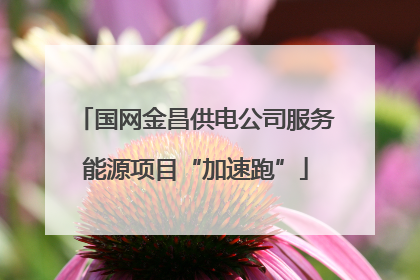 国网金昌供电公司服务能源项目“加速跑”