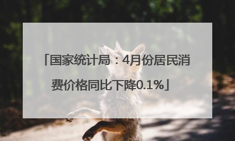 国家统计局：4月份居民消费价格同比下降0.1%