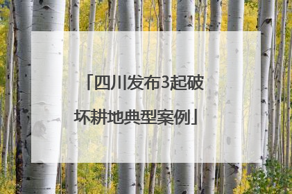 四川发布3起破坏耕地典型案例