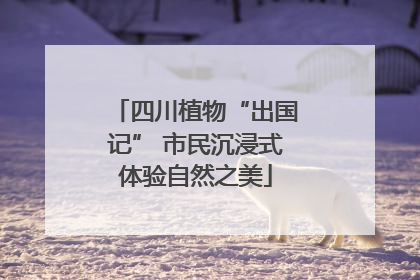 四川植物“出国记” 市民沉浸式体验自然之美