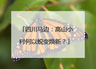 四川马边：高山小村何以蜕变焕新？