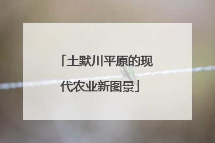 土默川平原的现代农业新图景