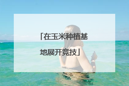 在玉米种植基地展开竞技