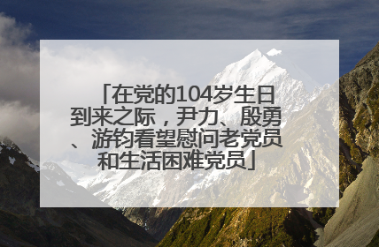 在党的104岁生日到来之际，尹力、殷勇、游钧看望慰问老党员和生活困难党员
