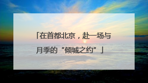 在首都北京，赴一场与月季的“倾城之约”