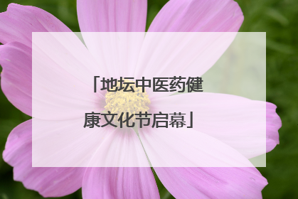 地坛中医药健康文化节启幕