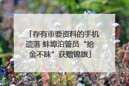 存有重要资料的手机遗落 蚌埠泊管员“拾金不昧”获赠锦旗