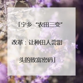 宁乡“农田三变”改革：让种田人尝甜头的致富密码