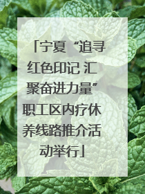 宁夏“追寻红色印记 汇聚奋进力量”职工区内疗休养线路推介活动举行