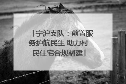 宁沪支队：前置服务护航民生 助力村民住宅合规翻建