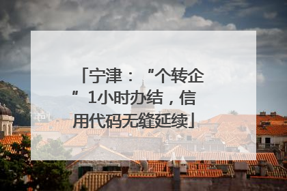 宁津：“个转企”1小时办结，信用代码无缝延续