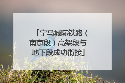 宁马城际铁路（南京段）高架段与地下段成功衔接