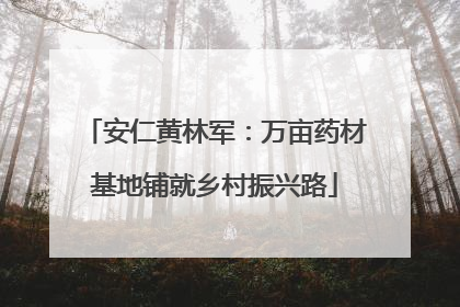 安仁黄林军：万亩药材基地铺就乡村振兴路