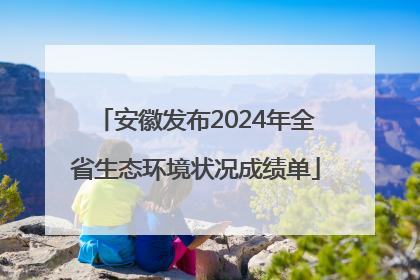安徽发布2024年全省生态环境状况成绩单