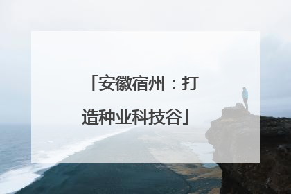安徽宿州：打造种业科技谷