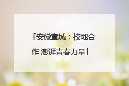安徽宣城：校地合作 澎湃青春力量