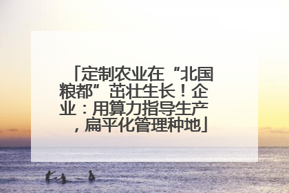定制农业在“北国粮都”茁壮生长！企业：用算力指导生产，扁平化管理种地