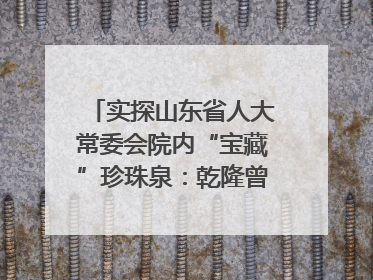 实探山东省人大常委会院内“宝藏”珍珠泉：乾隆曾为它题诗，游客无需预约免费游览