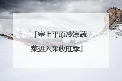 塞上平原冷凉蔬菜进入采收旺季