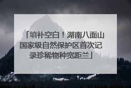 填补空白！湖南八面山国家级自然保护区首次记录珍稀物种宽距兰