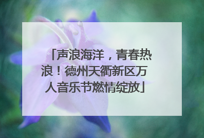 声浪海洋，青春热浪！德州天衢新区万人音乐节燃情绽放