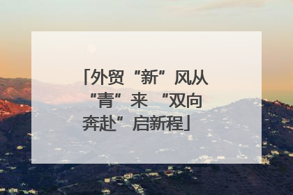外贸“新”风从“青”来 “双向奔赴”启新程