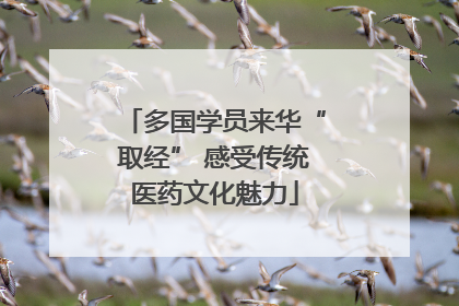 多国学员来华“取经” 感受传统医药文化魅力