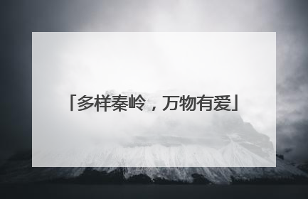 多样秦岭，万物有爱