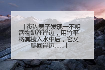 夜钓男子发现一不明活物趴在岸边，用竹竿将其拨入水中后，它又爬回岸边……