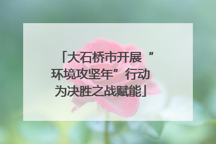 大石桥市开展“环境攻坚年”行动为决胜之战赋能
