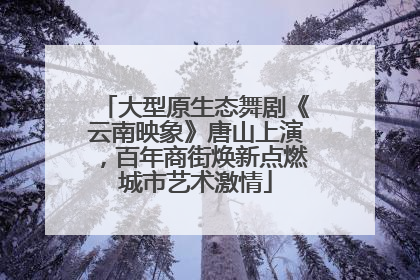 大型原生态舞剧《云南映象》唐山上演，百年商街焕新点燃城市艺术激情