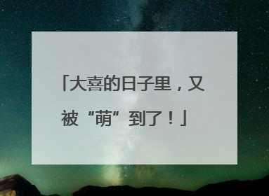 大喜的日子里，又被“萌”到了！