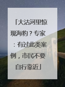 大沽河里惊现海豹？专家：有过此类案例，市民不要自行靠近