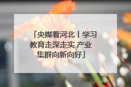 央媒看河北丨学习教育走深走实 产业集群向新向好
