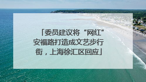 委员建议将“网红”安福路打造成文艺步行街，上海徐汇区回应