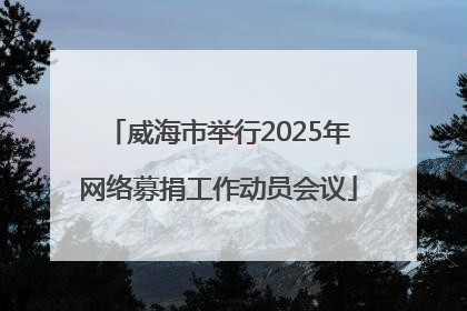 威海市举行2025年网络募捐工作动员会议