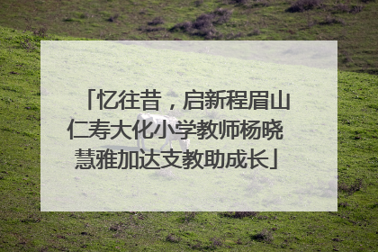忆往昔，启新程眉山仁寿大化小学教师杨晓慧雅加达支教助成长