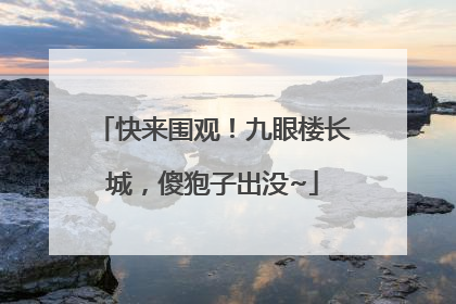 快来围观！九眼楼长城，傻狍子出没~