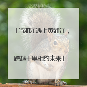 当湘江遇上黄浦江，跨越千里相约未来