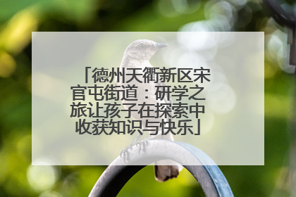 德州天衢新区宋官屯街道：研学之旅让孩子在探索中收获知识与快乐